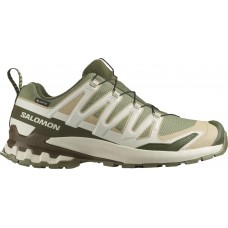 Кроссовки Salomon XA PRO 3D V9 GTX 11 Deeplichengreen/Safari
