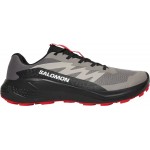 Кроссовки Salomon ALPHAGLIDE 6.5 Cloudburstblack/Fieryred