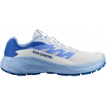 Кроссовки Salomon ALPHAGLIDE 3.5 Women Ancientwater/Brunnerablue