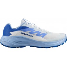 Кроссовки Salomon ALPHAGLIDE 3.5 Women Ancientwater/Brunnerablue