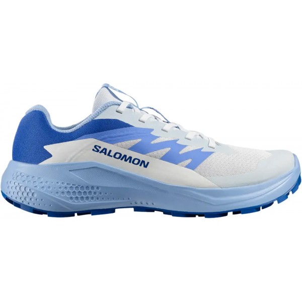 Кроссовки Salomon ALPHAGLIDE 3.5 Women Ancientwater/Brunnerablue - 110339