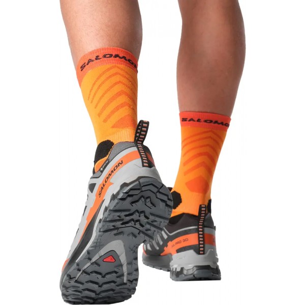 Кроссовки Salomon XA PRO 3D V9 GTX 8.5 (42⅔) Turbulence/Black/Burnt Ochre - 110514