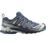 Кросівки Salomon XA PRO 3D V9 GTX 7.5 (41⅓) Spellbound Maritime Blue Wrought Iron