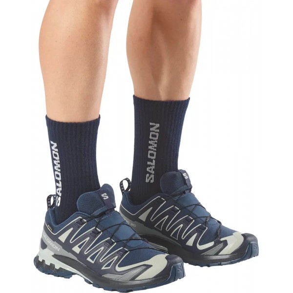 Кросівки Salomon XA PRO 3D V9 GTX 7.5 (41⅓) Spellbound Maritime Blue Wrought Iron - 110519