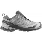 Кросівки Salomon XA PRO 3D V9 GTX 5 (38) Alloy Castlerock Lunar Rock