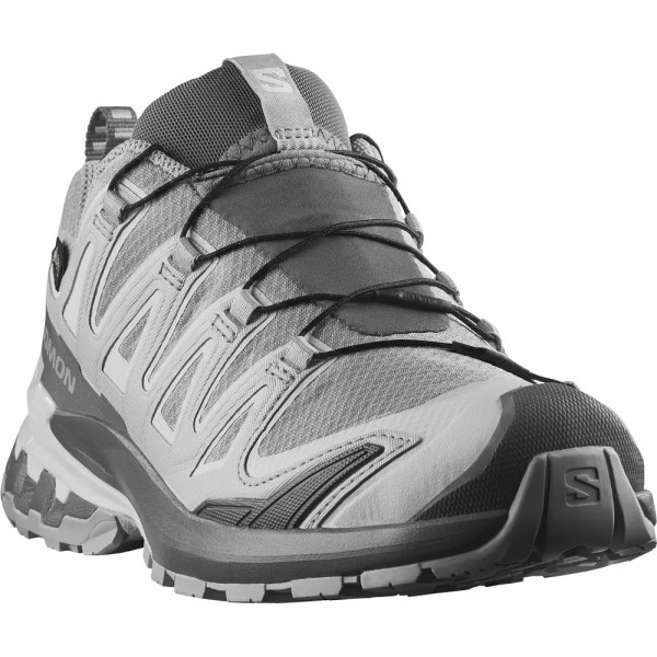 Кроссовки Salomon XA PRO 3D V9 GTX 6.5 (40) Alloy Castlerock Lunar Rock - 110532 Кроссовки Salomon XA PRO 3D V9 GTX 6.5 (40) Alloy Castlerock Lunar Rock - 110532