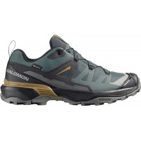 Кроссовки Salomon X ULTRA 360 GTX 7 (40⅔) Urban Chic/Black/Plantation