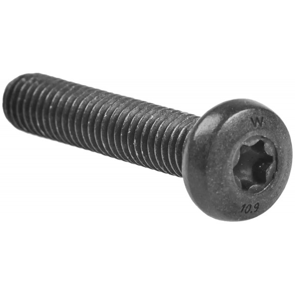 Винт Spuhr M5x25 Screw Tx20 MRT для прижимной планки ISMS выше 30 мм - 37280040 Винт Spuhr M5x25 Screw Tx20 MRT для прижимной планки ISMS выше 30 мм - 37280040