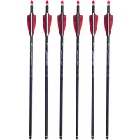 Набор стрел для арбалета TenPoint 20