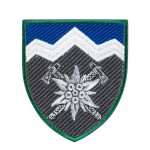 Шеврон 10 ОГШБр Едельвейс кольоровий