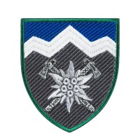 Шеврон 10 ОГШБр Едельвейс кольоровий