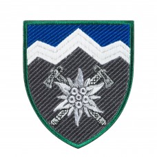 Шеврон 10 ОГШБр Едельвейс кольоровий