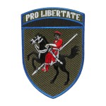 Шеврон 110 ОМБр кольоровий