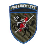 Шеврон 110 ОМБр кольоровий