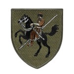 Шеврон 110 ОМБр польовий