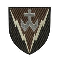 Шеврон 14 РТБр Omhi Videns цвет