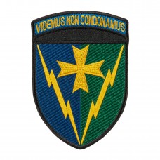 Шеврон 164 радіотехнічна бригада кольоровий