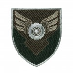 Шеврон 170 окрема база логістики ДШВ олива