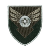 Шеврон 170 окрема база логістики ДШВ олива