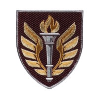 Шеврон 199 навчальний центр ДШВ кольоровий