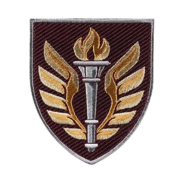 Шеврон 199 навчальний центр ДШВ кольоровий - AKW-19NTSDSHV