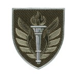 Шеврон 199 навчальний центр ДШВ польовий