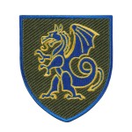 Шеврон 21 ОМБр кольоровий