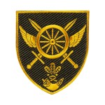 Шеврон 227 окремий автомобільний батальйон кольоровий