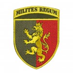 Шеврон 24 ОМБр кольоровий