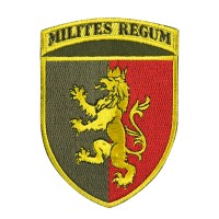 Шеврон 24 ОМБр кольоровий