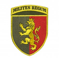 Шеврон 24 ОМБр кольоровий