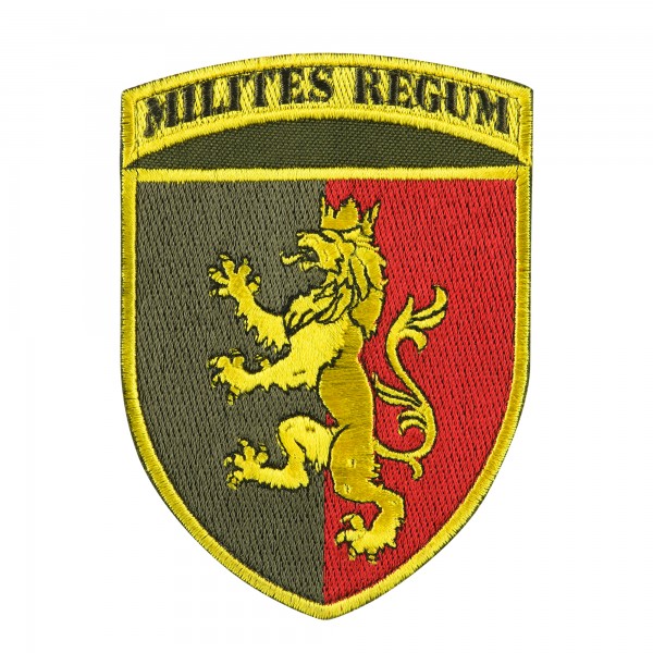 Шеврон 24 ОМБр кольоровий - AKW-24OMBR