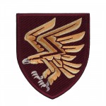 Шеврон 95-та окрема десантно-штурмова бригадa