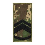 Погон на липучці НГУ Майстер-Сержант (Хижак)