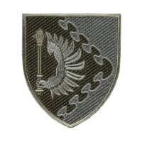 Шеврон Повітряне командування СХІД польовий