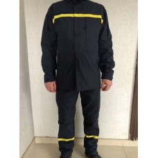 Форма МНС (ДСНС) 2019