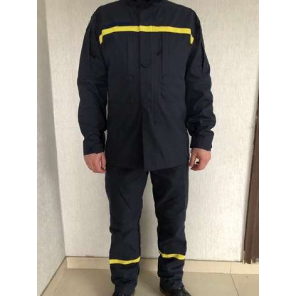 Форма МНС (ДСНС) 2019 - 3554855