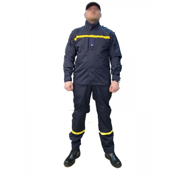 Форма МНС (ДСНС) - 3562866