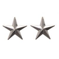 Рейтинг США (ПАРА) 1 ЗВЕЗДА ПОКОЛЕНИЕ СЕРЕБРЯНЫЙ