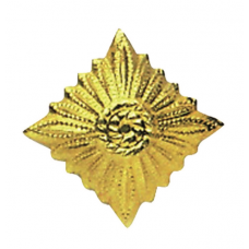 ЗОЛОТАЯ ЗВЕЗДА КЛАССА NVA