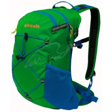 Рюкзак Pinguin Ride 25 ц:зеленый