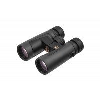 Бінокль LEUPOLD BX-2 Alpine 10x42mm Roof Shadow Gray